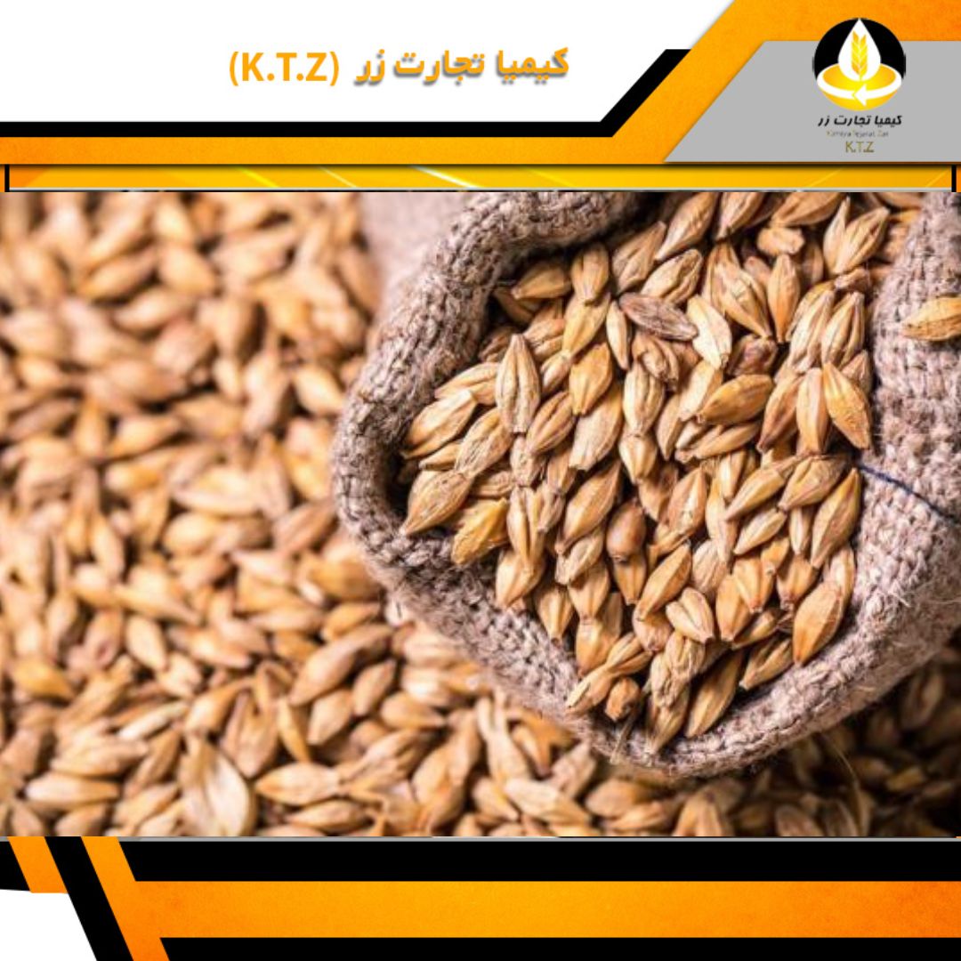 قیمت گندم، خرید و فروش گندم عمده