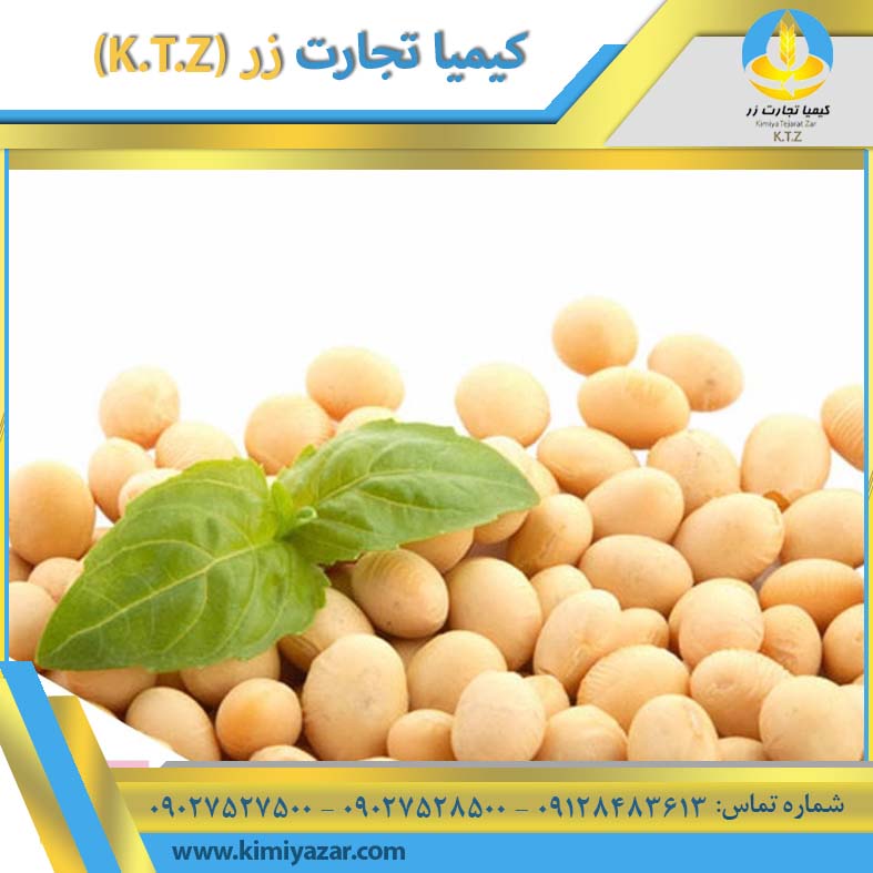 دانه سویا برزیل