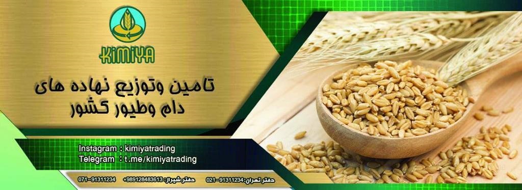 واردات، صادرات،ترخیص کالا